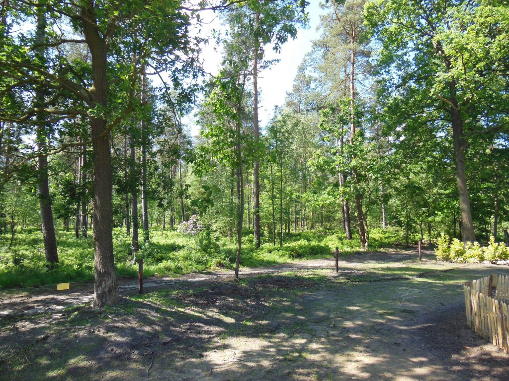 Vakantiehuis Veluwe | Familie vakantie Beekbergen met Chalet en Glamping voor gezinnen