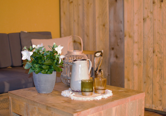 Vakantiehuis Veluwe | Familie vakantie Beekbergen met Chalet en Glamping voor gezinnen